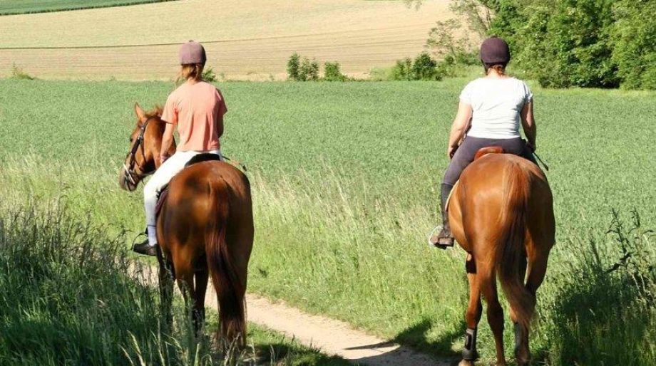 Horse Riding